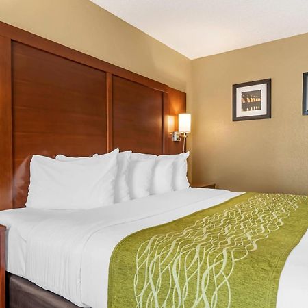 Comfort Inn Msp Airport - Mall Of America Bloomington Esterno foto