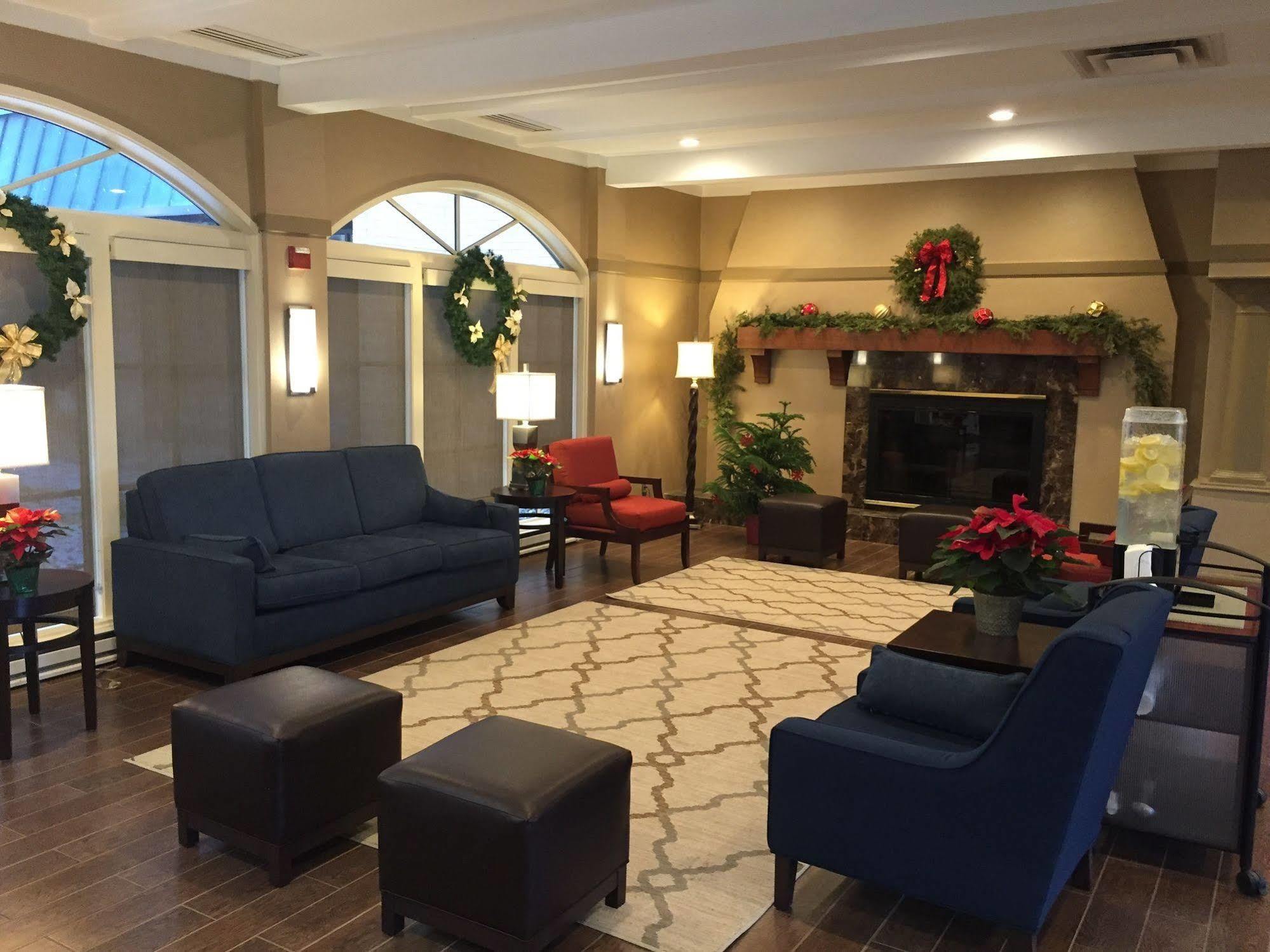 Comfort Inn Msp Airport - Mall Of America Bloomington Esterno foto